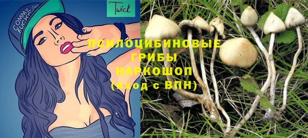 гашик Медногорск