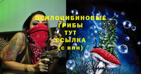 спиды Мегион
