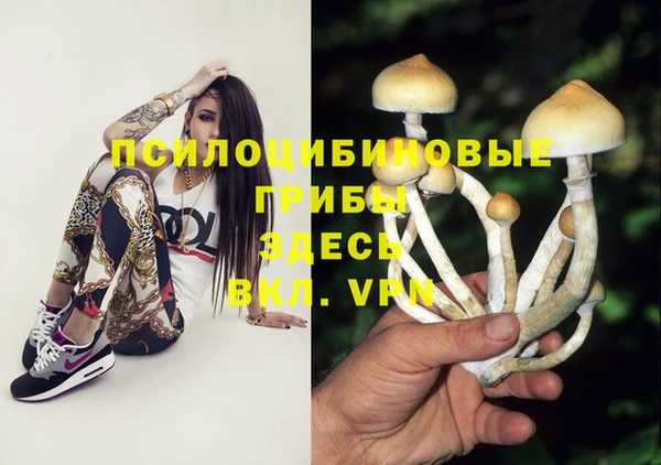 гашик Медногорск