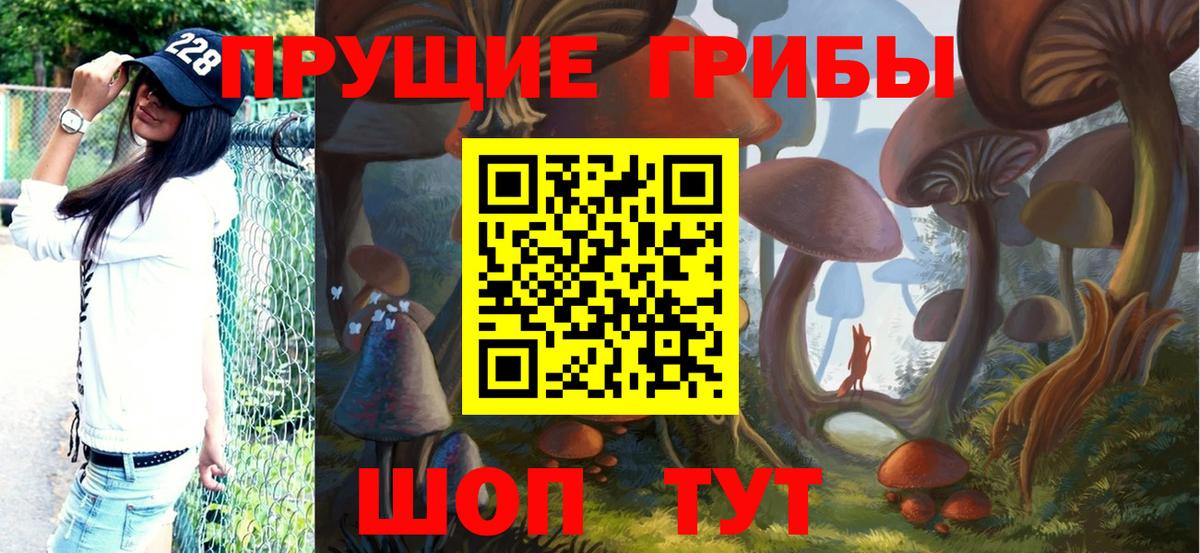 Галлюциногенные грибы ЛСД Карабулак